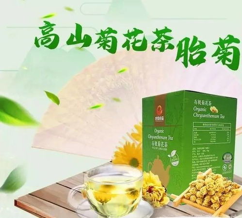 云陽三峽陽菊 嶺上盛開的幸福之花